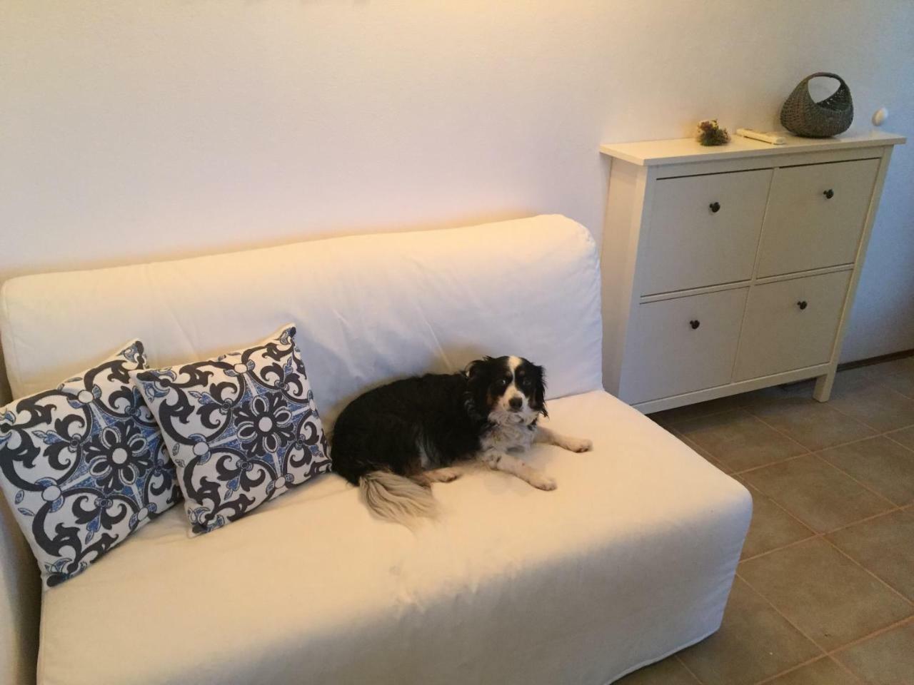 Apartament Boba'S House Sutivan Zewnętrze zdjęcie