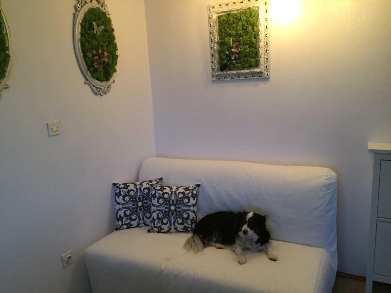 Apartament Boba'S House Sutivan Zewnętrze zdjęcie